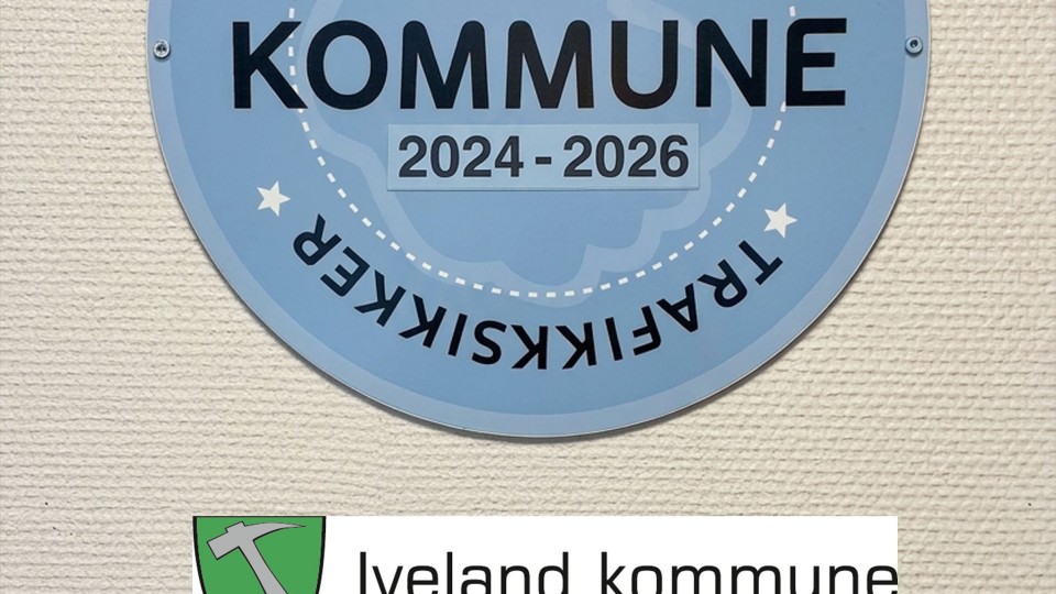 Lenke til artikkel: Bli sett - bruk refleks