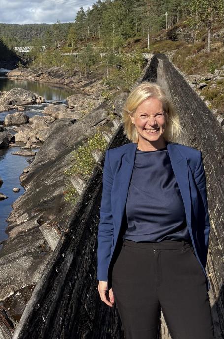 Lenke til artikkel: Statsråd i tømmerrenna 